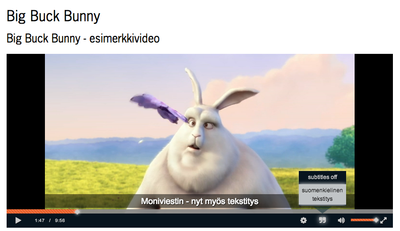 Subtitles in Moniviestin
